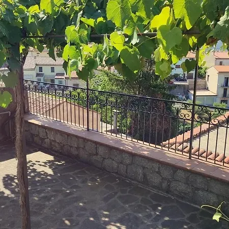 With Garden -
