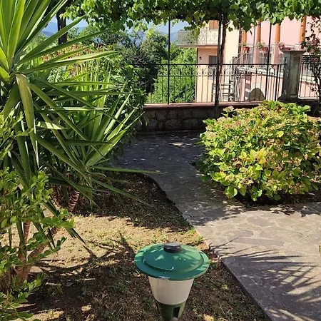 With Garden - *